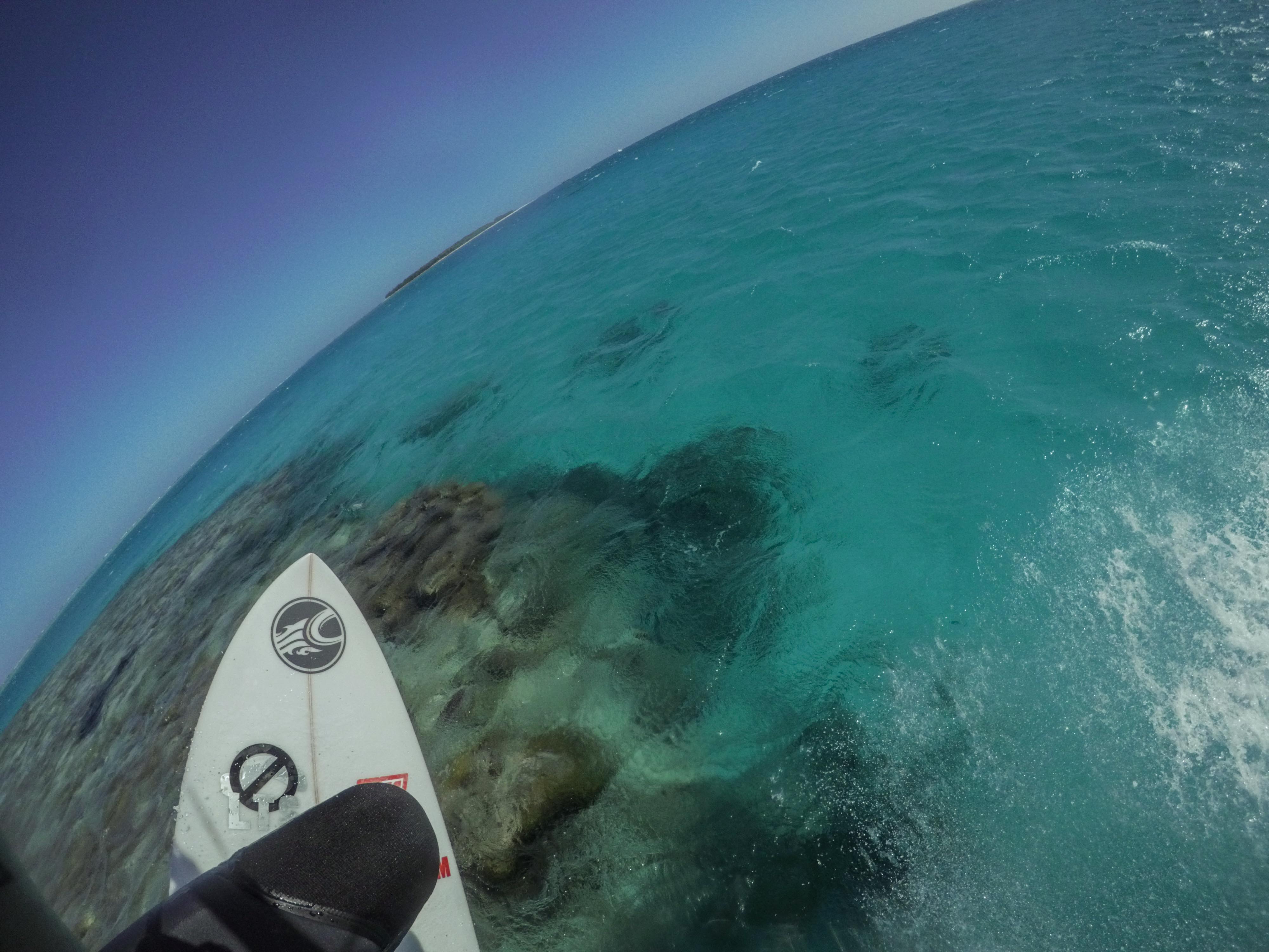 LTSing the Great Barrier Reef with Brandon Bowe