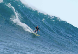 The Wave