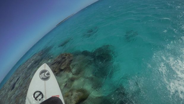 LTSing the Great Barrier Reef with Brandon Bowe